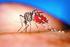 ΕΚΘΕΣΗ ΕΠΙΔΗΜΙΟΛΟΓΙΚΗΣ ΕΠΙΤΗΡΗΣΗΣ Ελονοσία στην Ελλάδα, έτος 2013, έως 16/11/2013