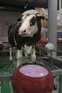 The Recent Progress in Transgenic Animal Research and Its Applications