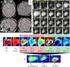 Robust Segmentation of Focal Lesions on Multi-Sequence MRI in Multiple Sclerosis