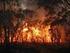 Παράδειγμα πρόληψης των δασικών πυρκαγιών στην περιοχή hautes Cévennes: ποιμενικός καθαρισμός καύσιμης ύλης στο Bonnevaux (Gard) Η ΤΟΠΟΘΕΣΙΑ