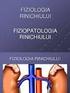 Fiziologia glandelor endocrine. Curs 2 I. Hormonii tiroidieni II. Hormonii produşi de glandele suprarenale