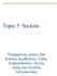 Topic 5: Sockets. *Ευχαριστίες στους Jim Kurose, Keith Ross, Τάκη Σταµατόπουλο, Αλέξη ελή, και Αντώνη ελιγιαννάκη