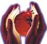 Θωρακική Επισκληρίδιος Αναισθησία σε Καρδιοχειρουργικούς Ασθενείς.