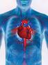 Fiziologia aparatului cardio-vascular