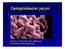 Campylobacter jejuni. Ιωαννης Γ Ρούτσιας, Επικ καθηγητης Ανοσολογιας/Μικροβιολογιας