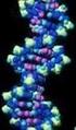 Molekulárna Genetika