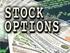 Call Options Put Options. Pricing Model( CAPM