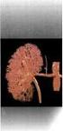Ο νεφρώνας είναι το πιο σημαντικο μερος των νεφρων υγρα και ηλεκτρολυτες