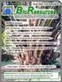 ADSORPTION OF DYE POLLUTANTS BY GREEK LIGNITE: A PRELIMINARY EXPERIMENTAL STUDY 1