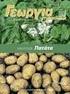 Dickeya solani: Μια αναδυόμενη απειλή για την καλλιέργεια της πατάτας