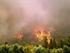 Η χαρτογράφηση των δασικών πυρκαγιών στην Ελλάδα