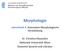 Morphologie. Lehreinheit 4: Automaten- Morphologische Verarbeitung. Dr. Chris9na Alexandris Na9onale Universität Athen Deutsche Sprache und Literatur