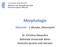 Morphologie. Übersicht - 3: Morphe, Allomorphe. Dr. Chris1na Alexandris Na1onale Universität Athen Deutsche Sprache und Literatur