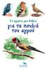 Περιεχόμενα. Εισαγωγή Λίγα λόγια για την παρατήρηση πουλιών Πελαργός Γερακίνα Δεκαοχτούρα Τσαλαπετεινός...