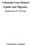 Calcitonin Gene-Related Peptide and Migraine: