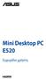 Mini Desktop PC E520