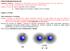 STRUCTURA MOLECULELOR