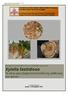 Ενημερωτικό φυλλάδιο για τον επιβλαβή οργανισμό Xylella fastidiosa Το αίτιο μιας εξαιρετικά επικίνδυνης ασθένειας των φυτών