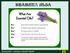 Matricaria chamomilla (kamilica) Cinnamomum verum (cimet) Achillea millefolium (hajdučka trava)