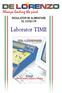 Always leading the pack REGULATOR DE ALIMENTARE DL 3155E17R. Laborator TIME