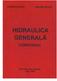 Dr. Ing. OLIMPIA BLĂGOI Dr. Ing. AMEDEU MITROI HIDRAULICĂ GENERALĂ COMPENDIU
