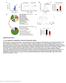 Nature Immunology: doi: /ni Supplementary Figure 1