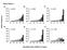 γ = 0.2 γ = Online Figure 1 B) relative frequency simulation time (millions of years) γ = γ = γ =