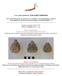 CYCLADIC SEMINAR ΚΥΚΛΑΔΙΚΟ ΣΕΜΙΝΑΡΙΟ