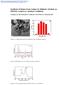 Synthesis of Imines from Amines in Aliphatic Alcohols on Pd/ZrO 2 Catalyst at Ambient Conditions