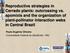 Reproductive strategies in Cerrado plants: outcrossing vs. apomixis and the organization of plant-pollinator interaction webs in Central Brazil