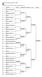 National Championships U17, 2012 MS Badminton Tournament Planner -