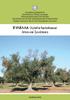 ΞΥΛΕΛΛΑ (Xylella fastidioasa) Αίτιο και Συνέπειες