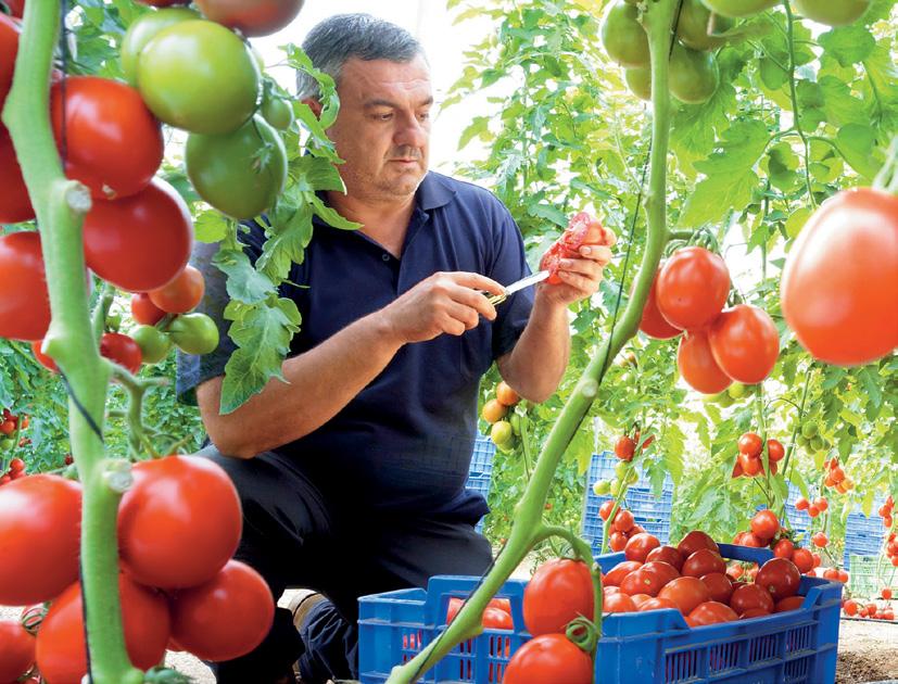 καταπολέμηση των