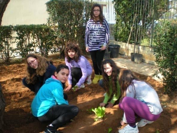 Σε αυτή τη διαδικασία διατυπώνονται απορίες και αμφιβολίες, επιστρατεύονται επιχειρήματα, παρέχονται επιπρόσθετες πληροφορίες, γίνονται αναλύσεις, προκύπτουν αντιπαραθέσεις και «γενικότερα