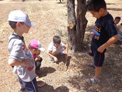 Για να επιτύχουν αυτές οι δράσεις και να έχουμε ένα καλύτερο μαθησιακό αποτέλεσμα, είναι απαραίτητη η επικοινωνία και συνεργασία μεταξύ των εκπαιδευτικών, η επικοινωνία μεταξύ των εκπαιδευτικών και