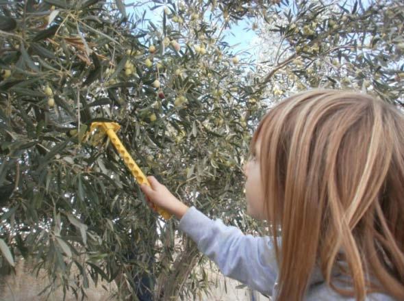 Βλέπω άρρωστα κλαδιά στα δένδρα αμέσως σκέφτομαι να τα κόψω, για να μην κολλήσουν και τα άλλα» (Γέροντος Παϊσίου, 1999). Εκεί του μπαίνουν τα πρώτα ερωτήματα για την περιβαλλοντική ηθική.