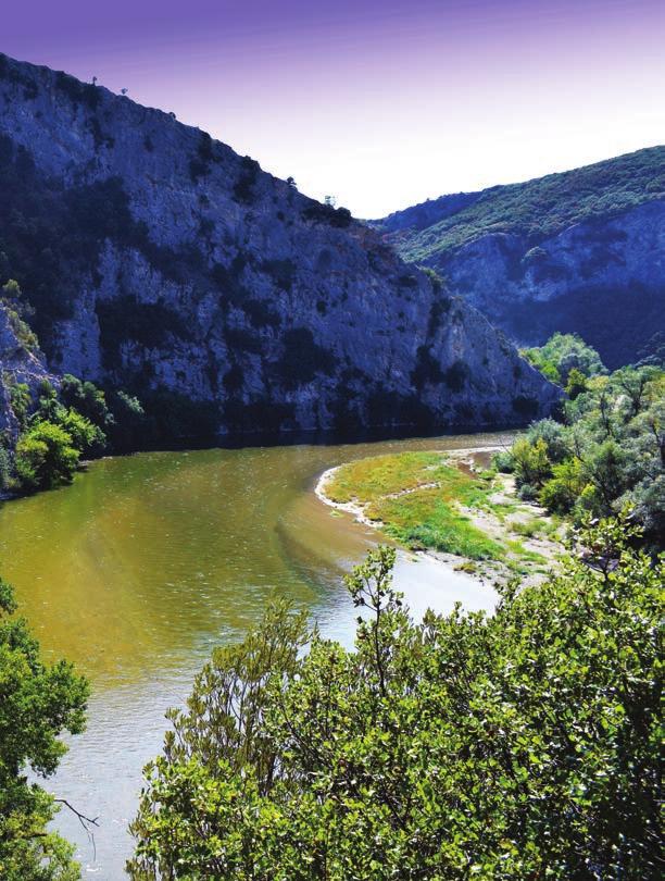 ΑΓΡΟΚΤΗΜΑ