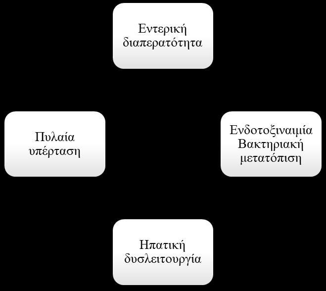 84 Εικόνα 5: Βλάβη στον εντερικό φραγμό οδηγεί σε βακτηριακή μετατόπιση και ενδοτοξιναιμία και συνεπώς στην εξασθένιση της ηπατικής λειτουργίας και σε αύξηση της πίεσης στην πυλαία φλέβα, ενδεχομένως