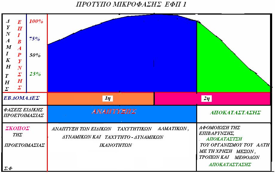 ΠΡΟΤΥΠΟ