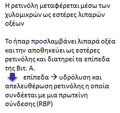 Metabolism of vit A Ελλειψη: Night blindness Decreased resistance to infections Extremely dry skin, hair or nails Fat-soluble Retinol