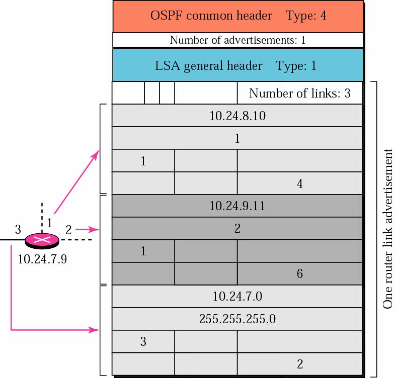Example Give the router link LSA sent by