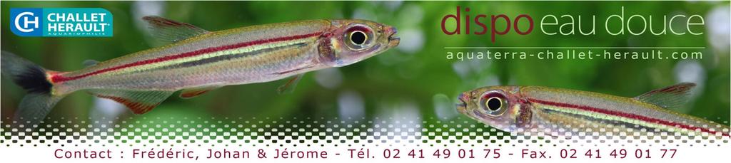 Stockliste Challet Hérault Aquariophilie FEVRIER Codes / Réf.