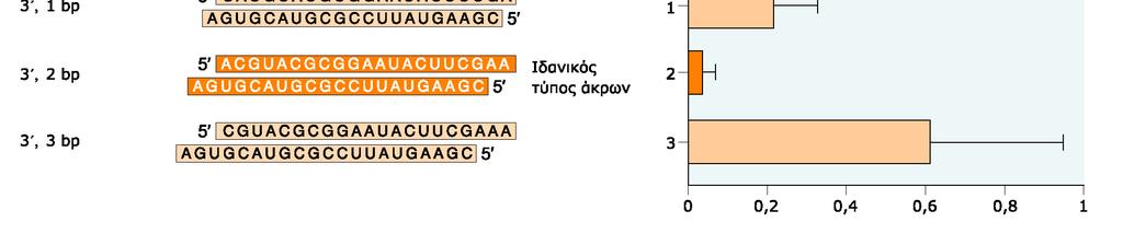 RNA όμοια με τα προϊόντα