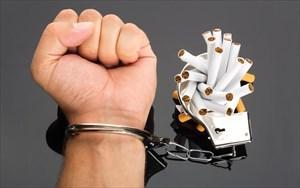 34 αηεηοθμπμθίκδ, πμο ιπμνεί κα επζδνά ζηδ αεθηίςζδ ηδξ ικήιδξ ηαεχξ ηαζ β) δ αήηαεκδμνθίκδ, πμο είκαζ πζεακυ κα ζπεηίγεηαζ ιε ηδκ ιείςζδ ημο άβπμοξ ηαζ ηδξ κεονζηυηδηαξ.