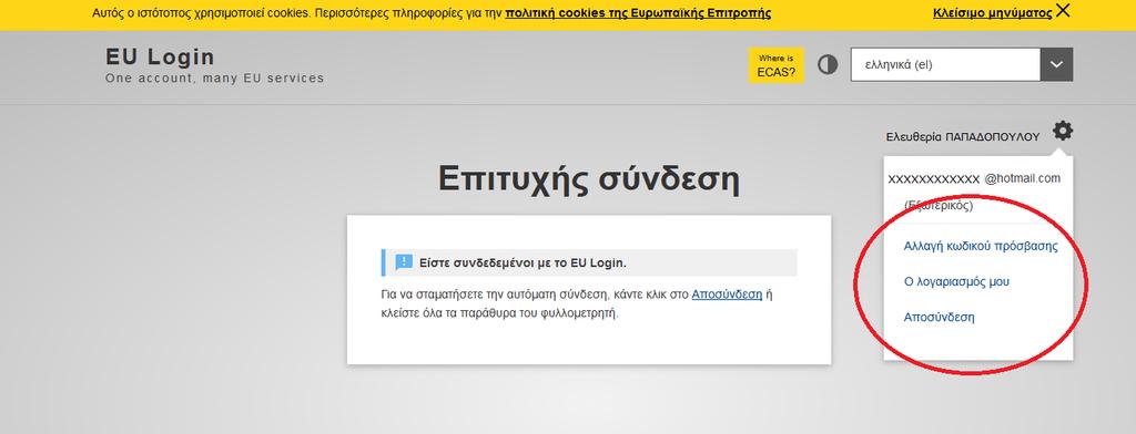 12. Μετά τη σύνδεσή μου, το σύστημα μου έχει αποδώσει ένα αναγνωριστικό (Eu login).