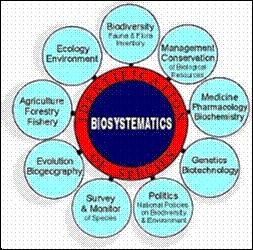 Η Βιοσυστηματική (ή Πειραματική Συστηματική) περιλαμβάνει οικολογικές, κυτταρολογικές και γενετικές έρευνες