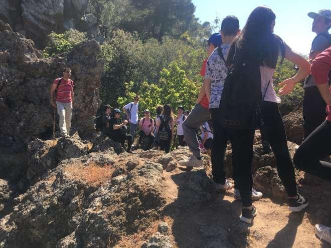 Η νεμάγηρη