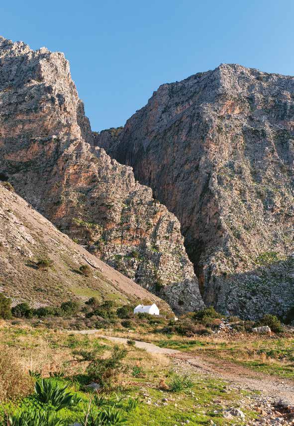 Οι Οδηγίες για τα Άγρια Πτηνά και τους Οικοτόπους Οδηγός για