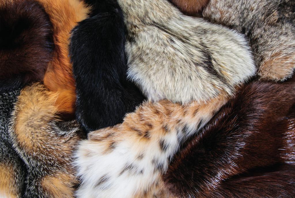 Furmark