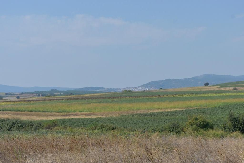 18/5/2019 32 Γενική